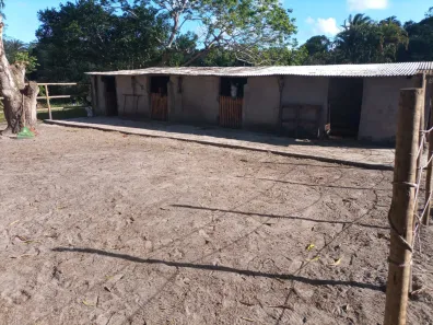 Fazenda / Sítio / Chácara com 3 Quartos para venda ou aluguel, 150m² no Barra do Pojuca (Monte Gordo), Camaçari