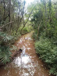 Fazenda / Sítio / Chácara à venda, 48m² no Jardim Flórido, Capivari
