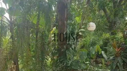Fazenda / Sítio / Chácara com 4 Quartos à venda, 6797m² no Vila Domingues, Votorantim