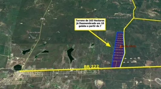 Terreno / Lote / Condomínio à venda, 1630000m² no , São Gonçalo do Amarante