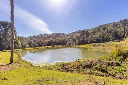 Fazenda / Sítio / Chácara com 5 Quartos à venda, 3681067m² no Zona Rural, Tijucas do Sul