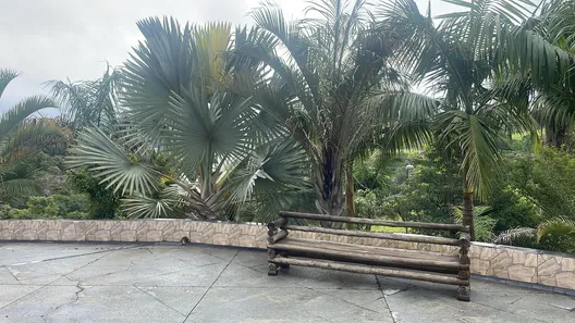 Fazenda / Sítio / Chácara com 7 Quartos à venda, 300000m² no , Piedade
