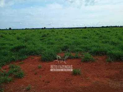 Fazenda / Sítio / Chácara à venda, 76850000m² no , Formoso do Araguaia