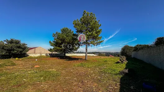 Fazenda / Sítio / Chácara à venda, 3300m² no Jardim Boa Vista, Campo Largo