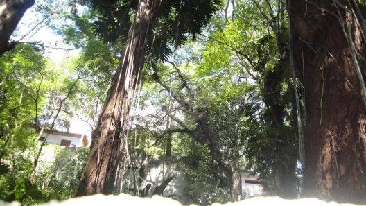 Terreno / Lote / Condomínio à venda, 349m² no Barro Branco (Zona Norte), São Paulo