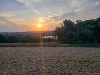 Fazenda / Sítio / Chácara à venda, 21381m² no Área Rural de Araucária, Araucária