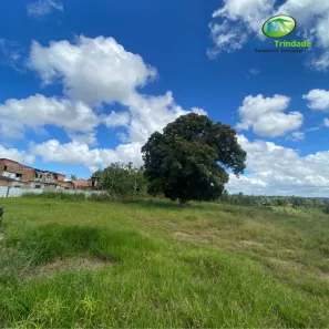 Loja / Salão / Ponto Comercial à venda, 20000m² no Cajazeiras de Abrantes (Abrantes), Camaçari