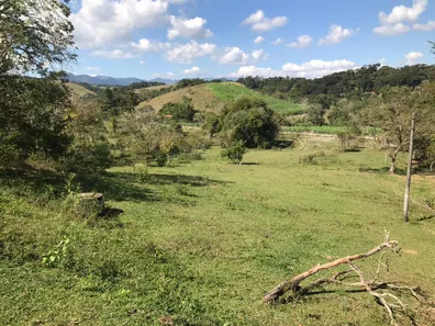 Fazenda / Sítio / Chácara com 3 Quartos à venda, 165000m² no Papucaia, Cachoeiras de Macacu