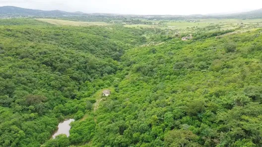 Fazenda / Sítio / Chácara com 2 Quartos à venda, 210000m² no , Pombos