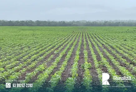 Fazenda / Sítio / Chácara à venda, 484m² no , Lagoa da Confusão