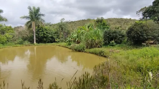 Fazenda / Sítio / Chácara com 4 Quartos à venda, 20000m² no Ponte Alta Norte, Brasília