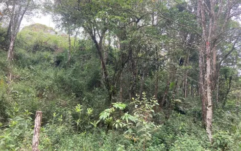 Terreno / Lote / Condomínio à venda, 4000m² no São João Batista, São João Batista