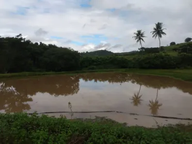 Fazenda / Sítio / Chácara com 7 Quartos à venda, 240000m² no Matriz, Vitória de Santo Antão