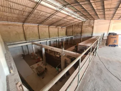 Galpão / Depósito / Armazém com 7 Quartos à venda, 850m² no Águas Lindas, Ananindeua