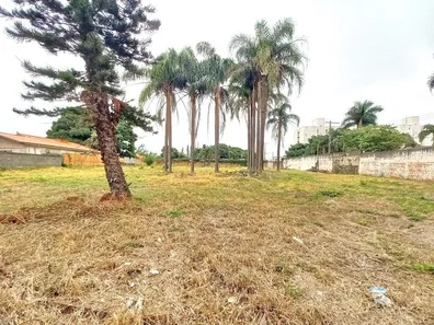 Terreno / Lote / Condomínio para alugar, 3095m² no Chácaras Antonieta, Limeira