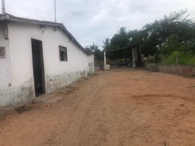 Fazenda / Sítio / Chácara com 3 Quartos à venda, 5500m² no , Vera Cruz