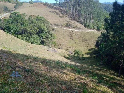 Terreno / Lote / Condomínio à venda, 20004m² no Centro, São Pedro de Alcântara