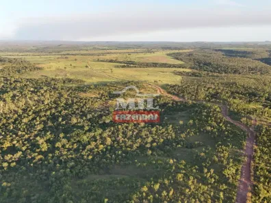 Fazenda / Sítio / Chácara à venda, 500m² no Setor Central, Ponte Alta do Tocantins