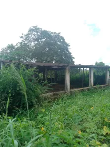 Fazenda / Sítio / Chácara com 4 Quartos à venda, 40000m² no , Feira Nova
