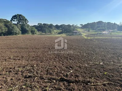 Fazenda / Sítio / Chácara com 6 Quartos à venda, 53000m² no Cachoeira, São José dos Pinhais
