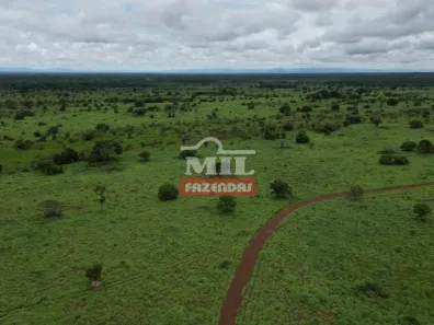 Fazenda / Sítio / Chácara à venda, 500m² no Centro, Formosa