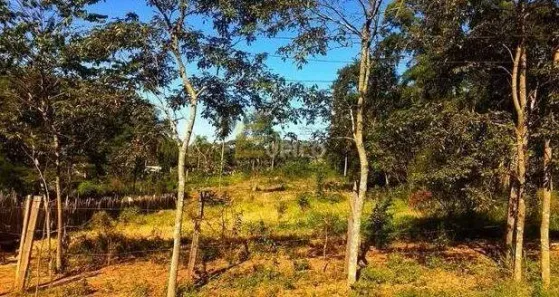 Terreno / Lote / Condomínio para alugar, 3950m² no Residencial Ibi-Aram II, Itupeva
