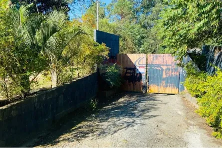 Galpão / Depósito / Armazém para alugar, 3000m² no Rio Acima, Mairiporã