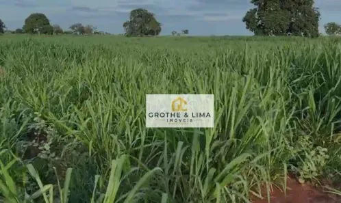 Fazenda / Sítio / Chácara com 5 Quartos à venda, 800m² no Padre Bernardo, Padre Bernardo