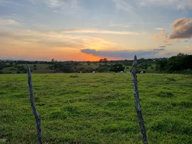 Fazenda / Sítio / Chácara com 3 Quartos à venda, 14000000m² no Riachão, Caruaru