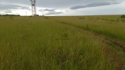 Fazenda / Sítio / Chácara com 2 Quartos à venda, 100m² no , Piedade