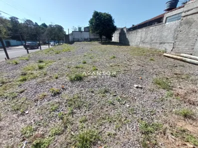 Terreno / Lote / Condomínio para alugar, 480m² no Patronato, Santa Maria