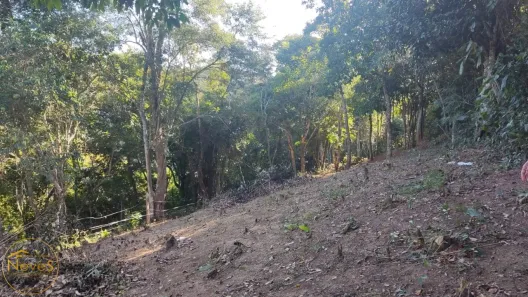 Terreno / Lote / Condomínio à venda, 486m² no Barão de Javary, Miguel Pereira