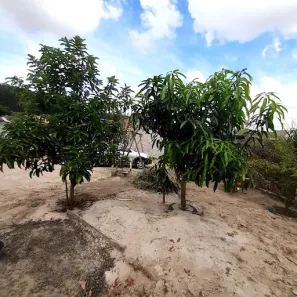 Fazenda / Sítio / Chácara com 1 Quarto à venda, 90m² no Pau D'Alhinho, Piracicaba