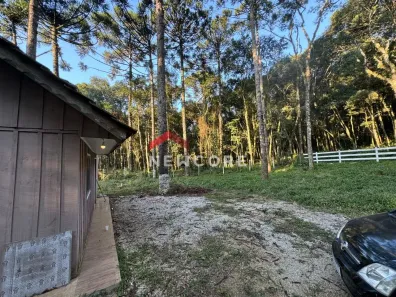 Fazenda / Sítio / Chácara com 1 Quarto à venda, 7286m² no Serrinha, Contenda