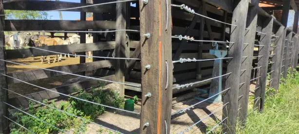 Fazenda / Sítio / Chácara à venda, 300m² no Centro, Itapecuru Mirim
