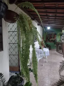 Casa com 3 Quartos à venda, 360m² no Florença, Ribeirão das Neves
