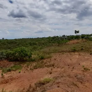 Fazenda / Sítio / Chácara à venda, 22500m² no , Brasília