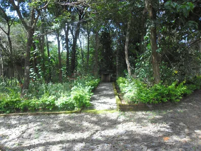 Fazenda / Sítio / Chácara com 3 Quartos à venda, 1540m² no , Capim Branco