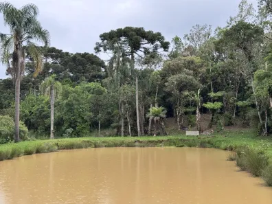 Fazenda / Sítio / Chácara com 4 Quartos à venda, 15000m² no , Tijucas do Sul