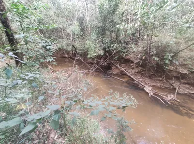 Fazenda / Sítio / Chácara com 4 Quartos à venda, 20000m² no , Brasília