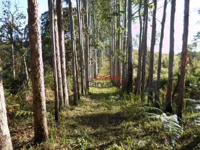 Fazenda / Sítio / Chácara com 5 Quartos à venda, 200m² no , Igaratá