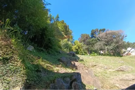 Apartamento com 2 Quartos à venda, 80m² no Morin, Petrópolis