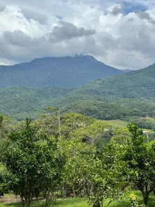 Fazenda / Sítio / Chácara com 6 Quartos à venda, 13000m² no Vargem Grande, Águas Mornas