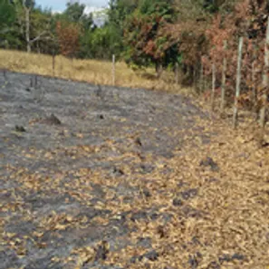 Terreno / Lote / Condomínio à venda, 1031m² no , Capim Branco