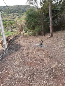 Fazenda / Sítio / Chácara à venda, 3000m² no Condomínio Horizontal Marajoara, Ibiporã