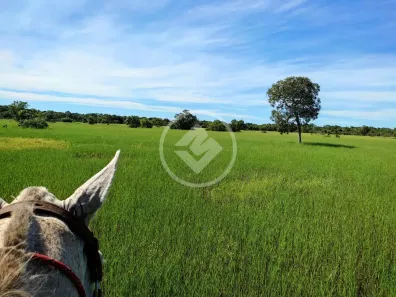Fazenda / Sítio / Chácara à venda, 280m² no Rua Rio Formoso, Formoso do Araguaia