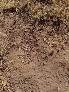 Fazenda / Sítio / Chácara à venda, 72600000m² no Javaés, Lagoa da Confusão