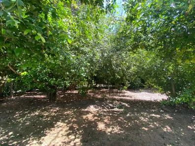Terreno / Lote / Condomínio à venda, 1000m² no Busca Vida (Abrantes), Camaçari