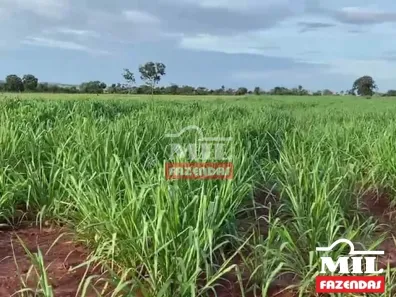 Fazenda / Sítio / Chácara à venda, 500m² no , Lagoa Santa