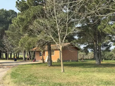 Terreno / Lote / Condomínio à venda, 348098m² no São Luiz do Purunã, Balsa Nova